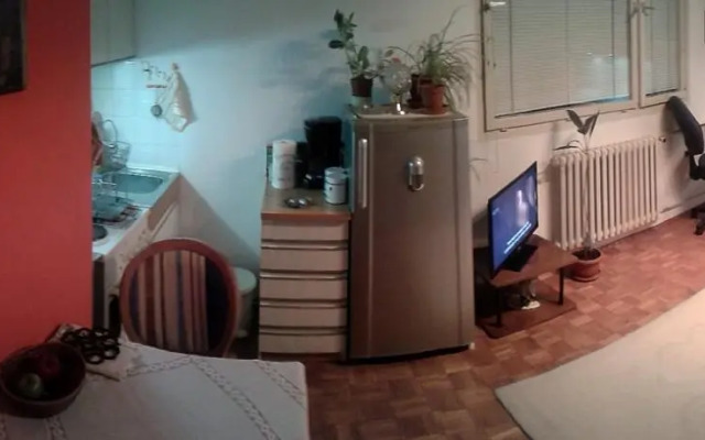 12 Monkeys Studio Apartment