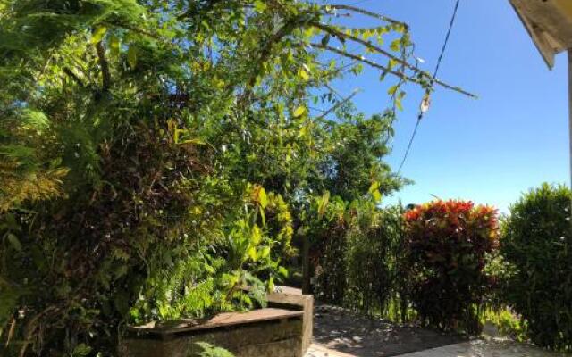 Les Nids de Belle Eau