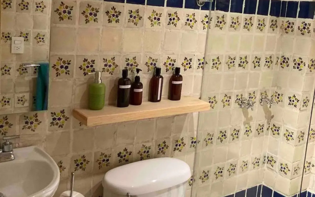 Casa Verde Alberca Jardin Diseno Ubicacion AC