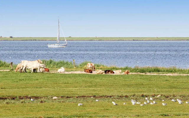 Frische Brise