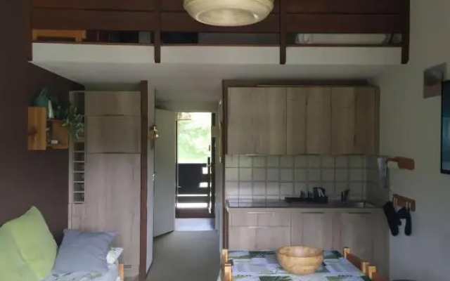 Duplex 3 pièces. Pieds des pistes et balcon!