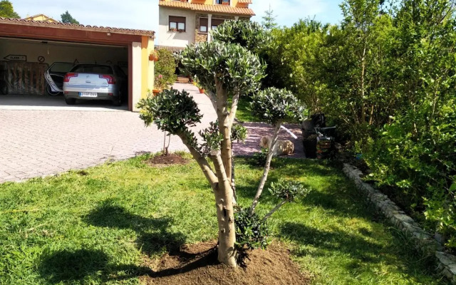 Casa Braña