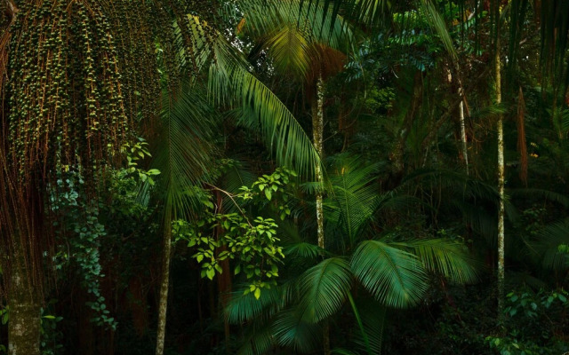 Yacutinga Lodge
