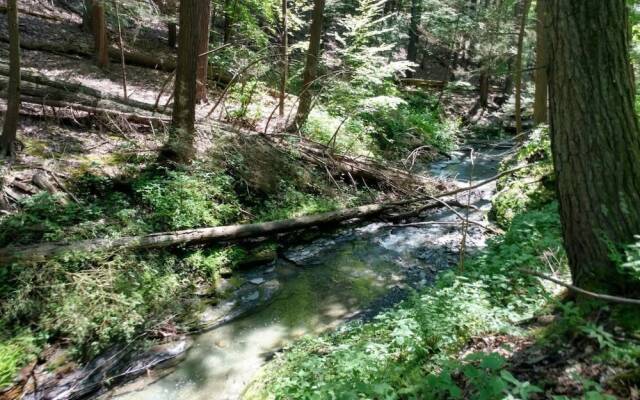 Tentrr - Home Sweet Campsite