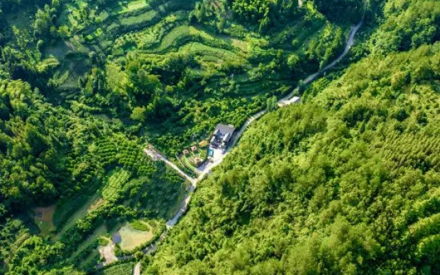 Shihe Yuanfang Yangjiayuan