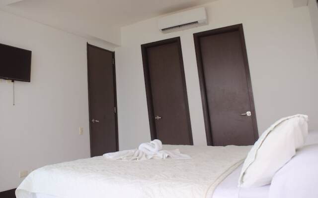 Palmetto Eliptic 1002