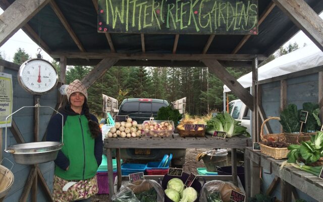 Alaska Adventure Cabins
