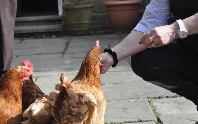 Little Tidebrook Farm