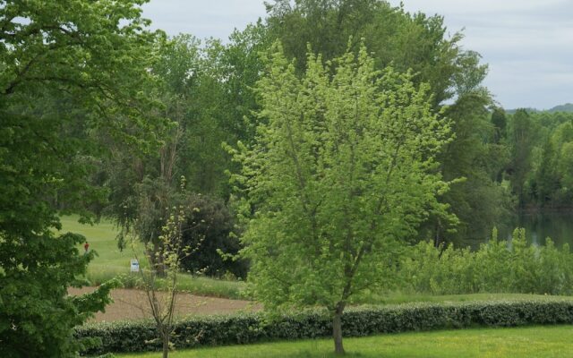 Apartment in a 15th Century Castle With Swimming Pool