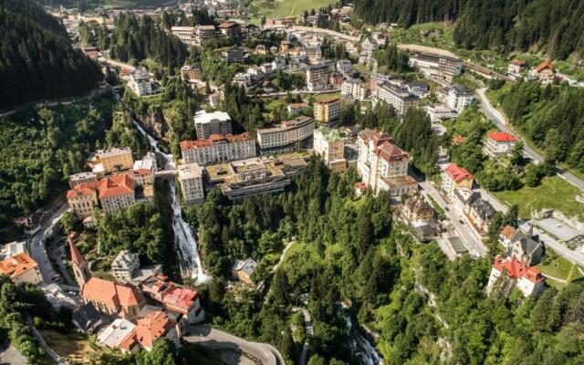 Apartment Gastein
