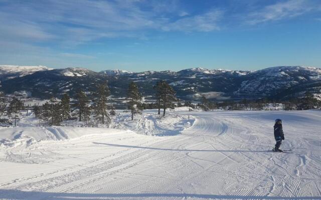 Vrådal Panorama - Tiuråsvegen 39