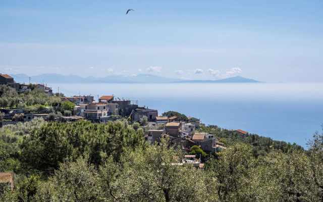 Sky Blue Guesthouse