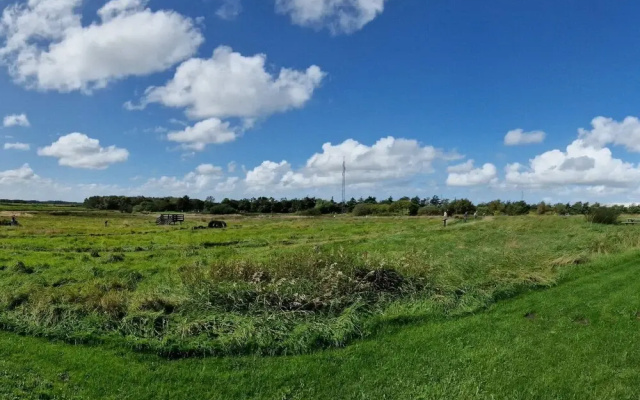 5 Star Holiday Home in Oksbol
