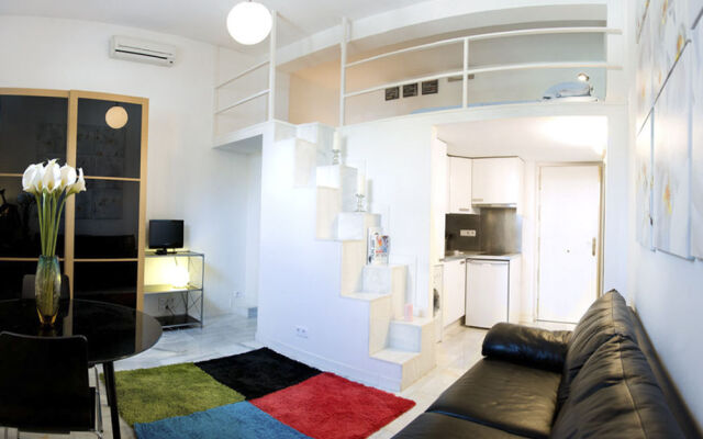 Apartamentos Puerta del Sol-Lofts Calle Ribera de Curtidores