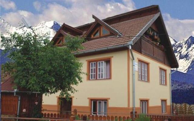 Pensiunea Iancu Salasu de Sus