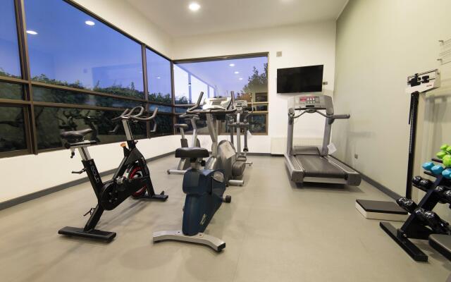 Holiday Inn Express Temuco by IHG