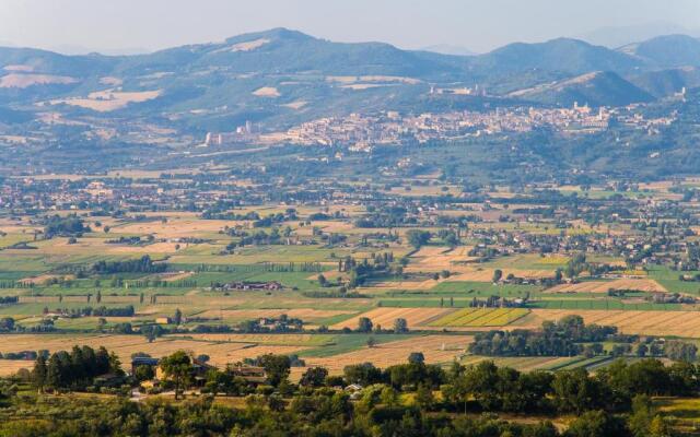 Agriturismo Il Cicaleto