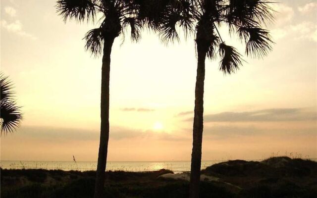 Sand Dollar II 207