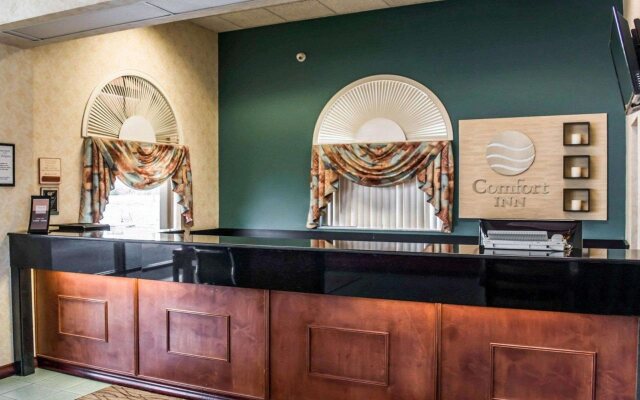 Comfort Inn Sun City Center - Ruskin - Tampa South
