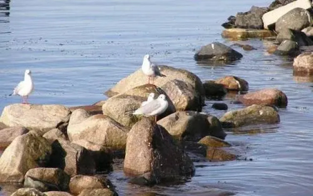 Ferienwohnung Muschel und Leuchtturm