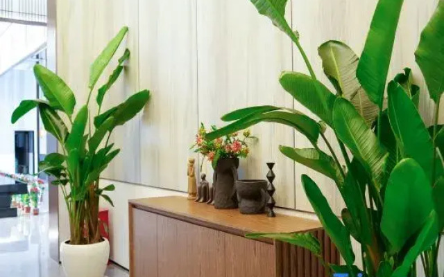 Feida Riverside Hotel