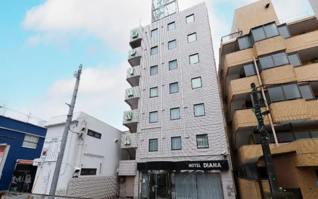 Business Hotel Diana — 2-star hotel in Yachiyo