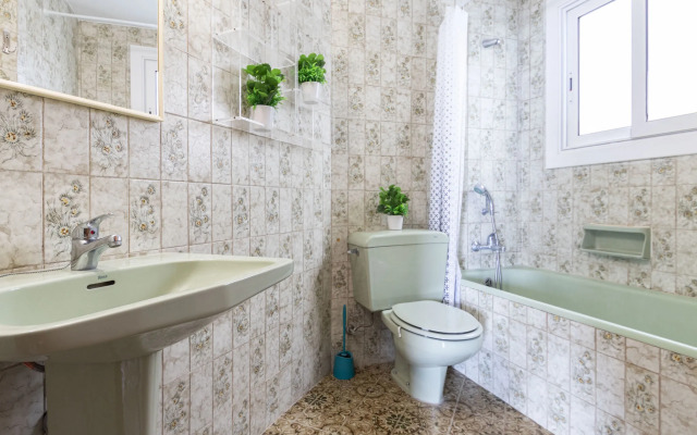 Esquirol Vilafortuny