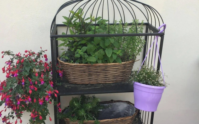 Old Town Boutique Apartments