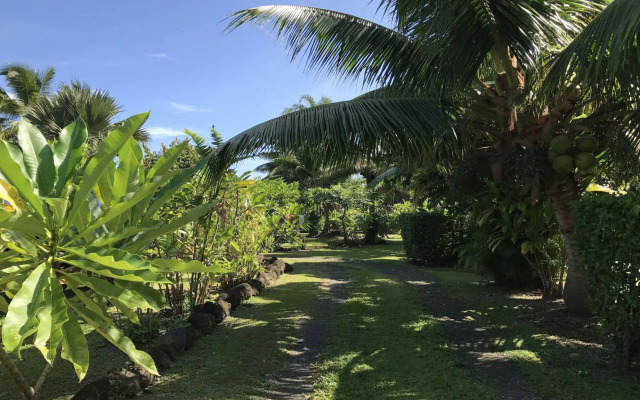 Punatea Village