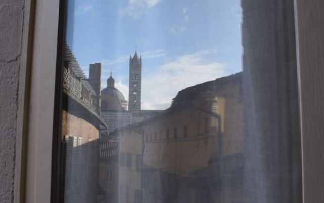 Siena Centro Civetta