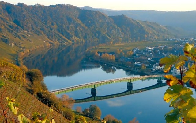 Gasthaus Moselloreley