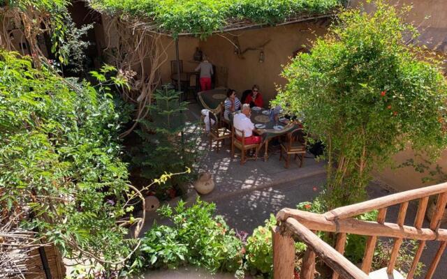 Oasis de Tiout