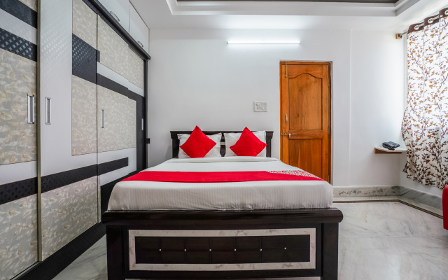 OYO 13746 Mint Leaves