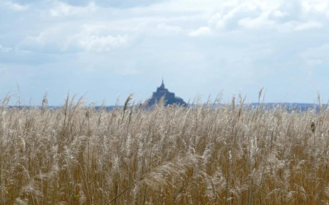 Les Vieilles Digues
