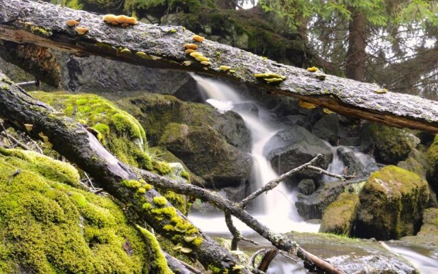 Penzion Vinicky dvůr