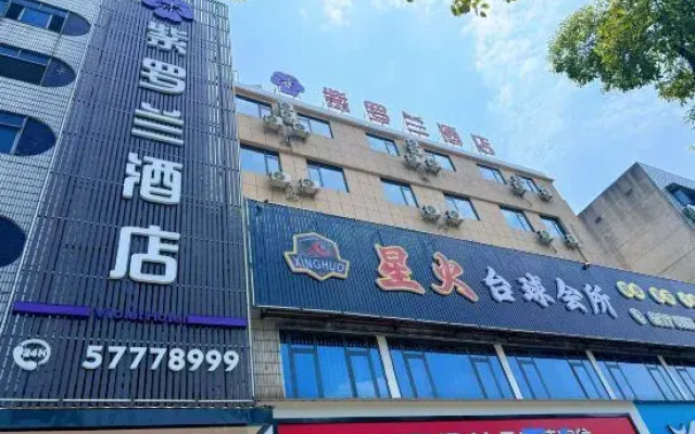 Violet Hotel