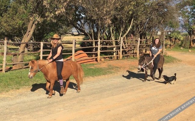 Lydenrust Guest Farm and Horse Trails