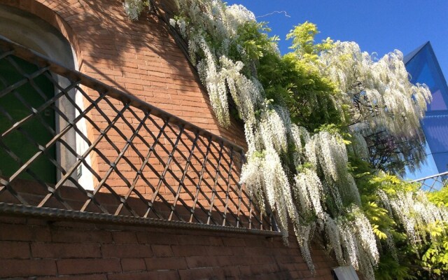 Il Podere Degli Ulivi