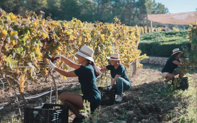 Finca Serena Mallorca, Small Luxury Hotels