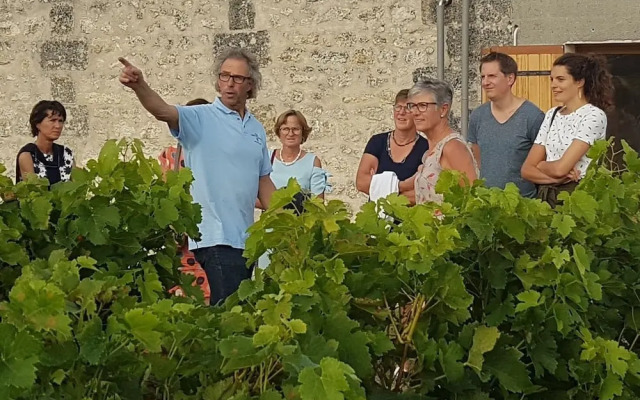 Le Coeur des Vignes