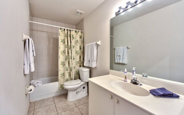 Viareggio Vacation Rental