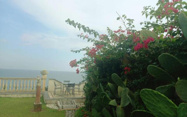 The cliff house