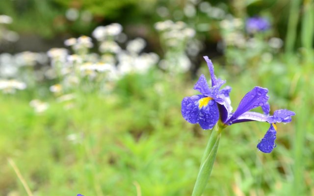 Oyado Nakaya