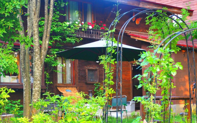 Pension Snowfall Meteor