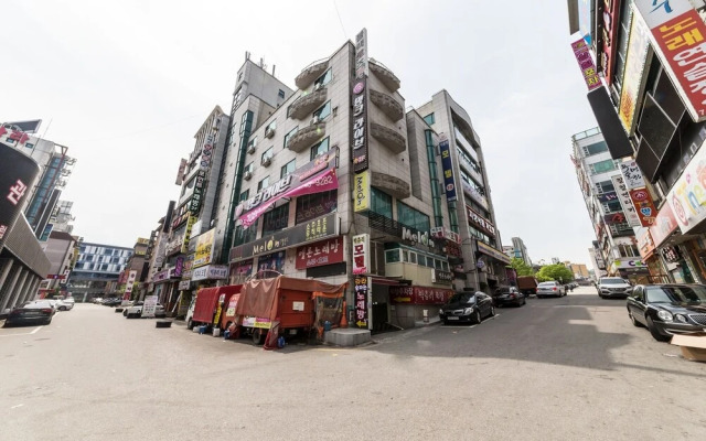 Wonju Big Tree