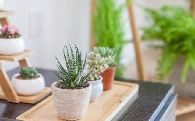 Xi'an Yanta·big Wild Goose Pagoda· Locals Apartment 00168530