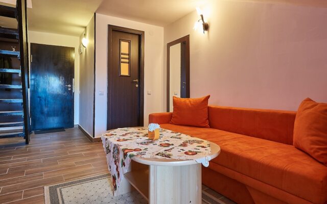 Apartment Poiana Stechil