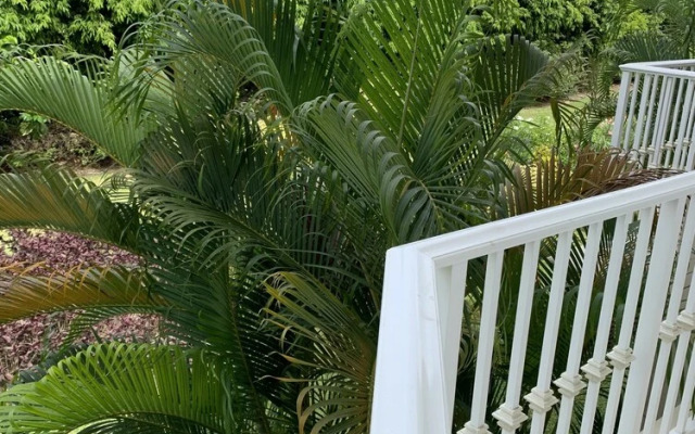 Royal Apartment 221 by Island Villas