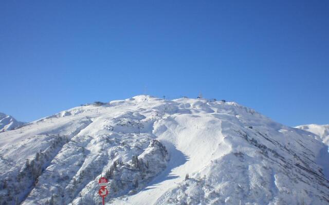 Appartements Alpenrose