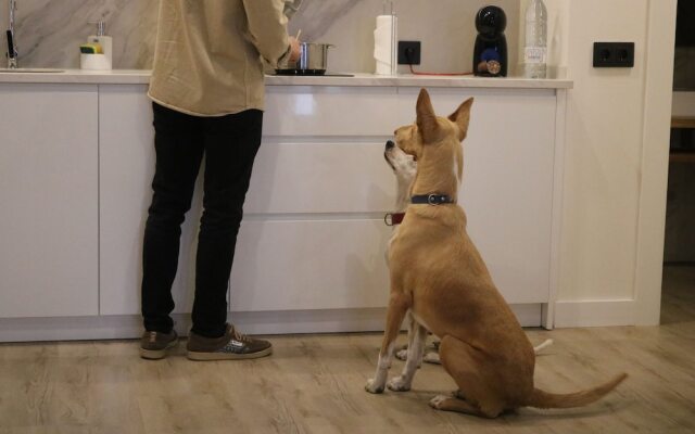 Apartamentos Málaga Premium - Calle San Telmo Thyssen Museum